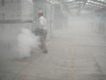 /album/trabajos-realizados/fotos-pest-control-322-jpg/